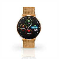 TECHMADE TM-KOSMOS-METM MAGNETIC GOLD BELT