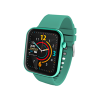 TECHMADE HAVA SMARTWATCH CON FRAME IN ALLUMINIO 1.68 GREEN