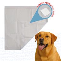 HAPPEE HP-PETPAD-L10 TRAVERSINE MISURA L 60X90 (CONF.10 PCS)